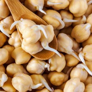CHICK PEA