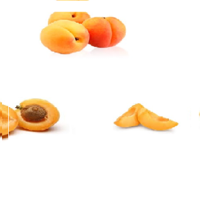 APRICOT