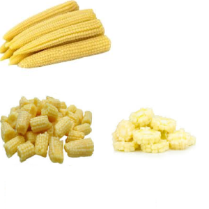BABY CORN