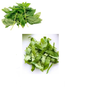 BASIL LEAVES