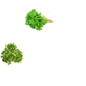 coriander leaves