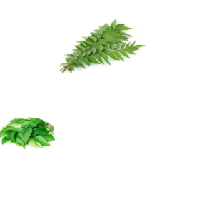 CURRY LEAVES