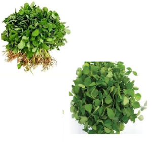 FENUGREEK LEAVES[METHI]