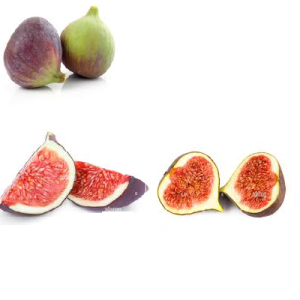 FIGS
