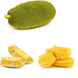 JACK FRUIT