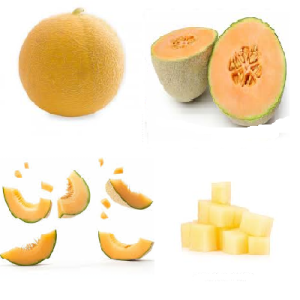 MUSKMELON