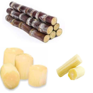 SUGARCANE